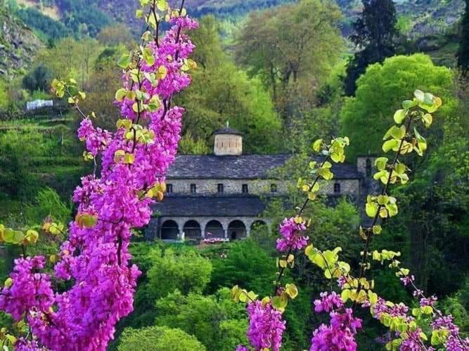 Eagle House Villa Përmet Екстериор снимка